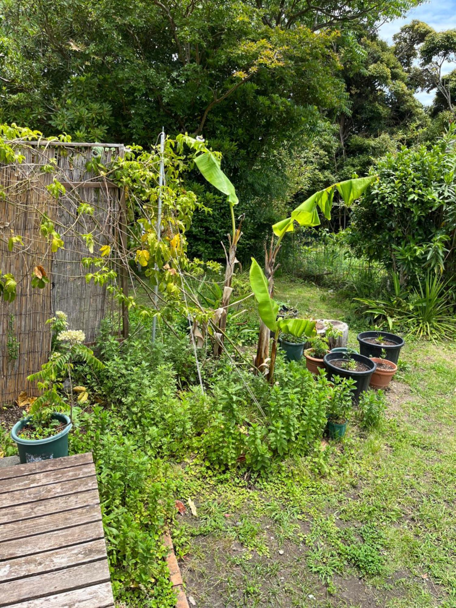 Guesthouse Papaya Shimoda (Shizuoka) Exterior foto