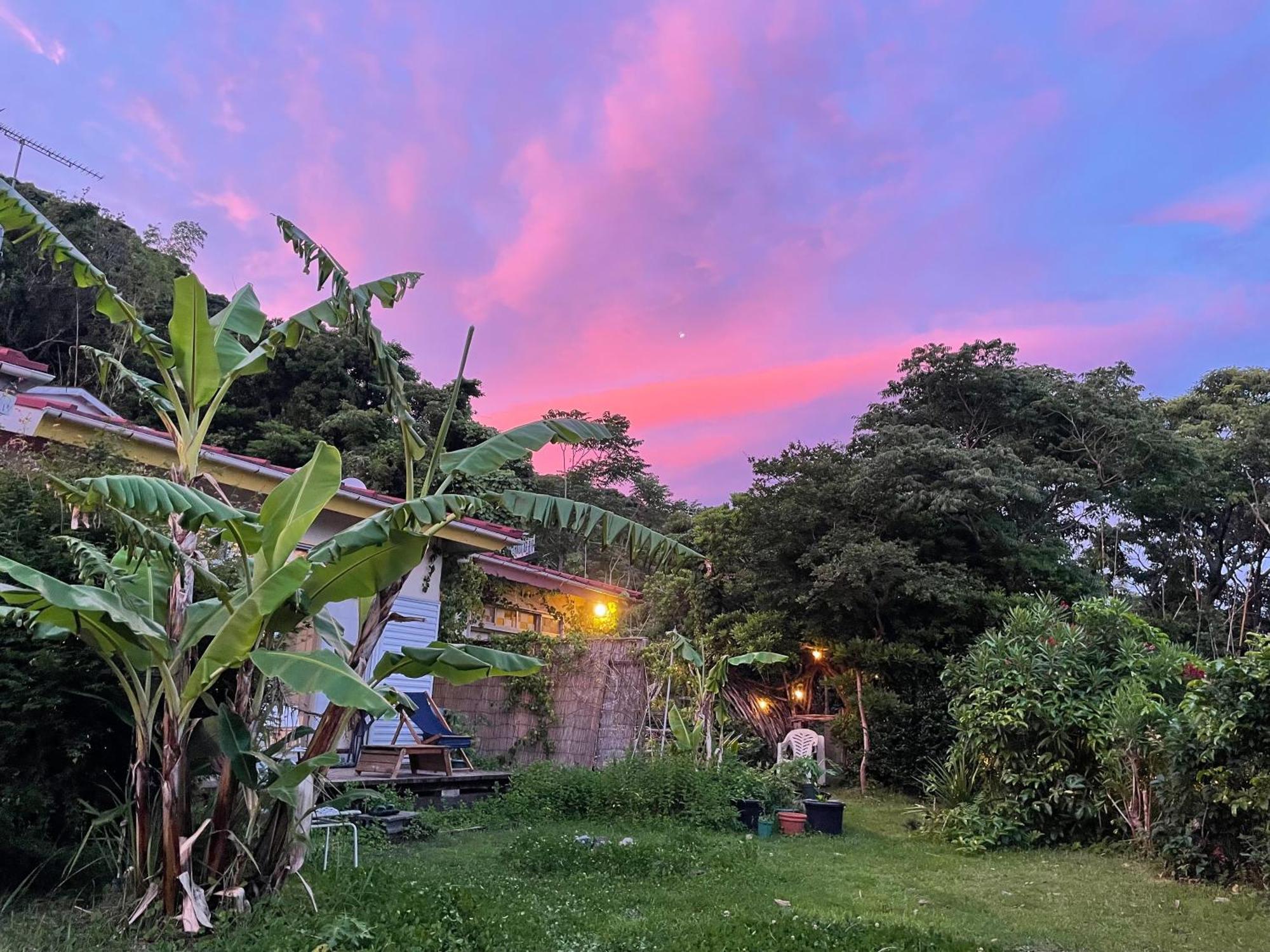 Guesthouse Papaya Shimoda (Shizuoka) Exterior foto